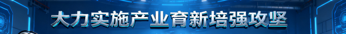 大力实施产业育新培强攻坚