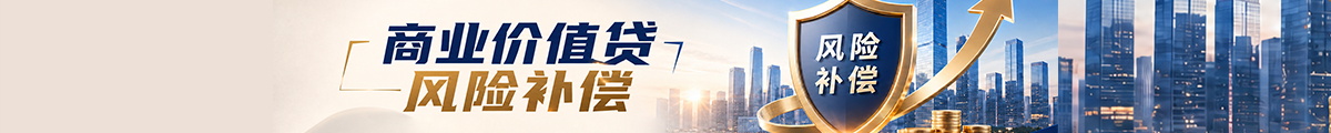 “商业价值贷”风险补偿